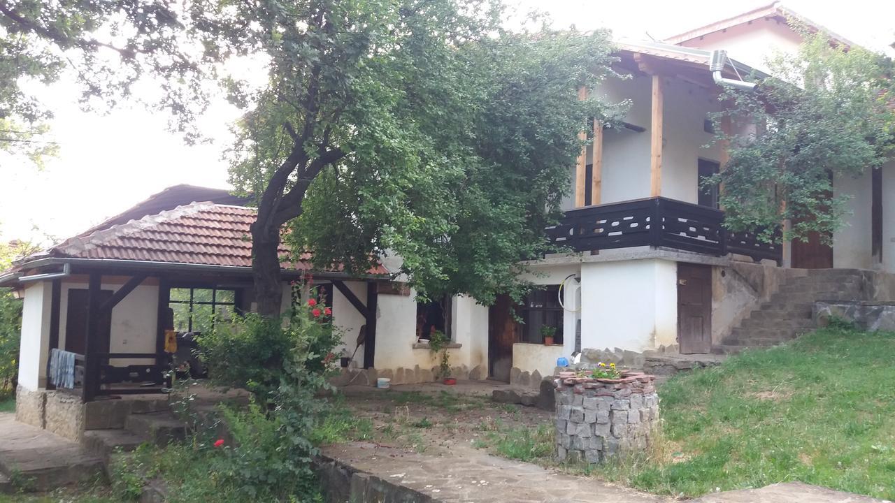 Chuchi Guest House 1 Zlatna Panega Bagian luar foto
