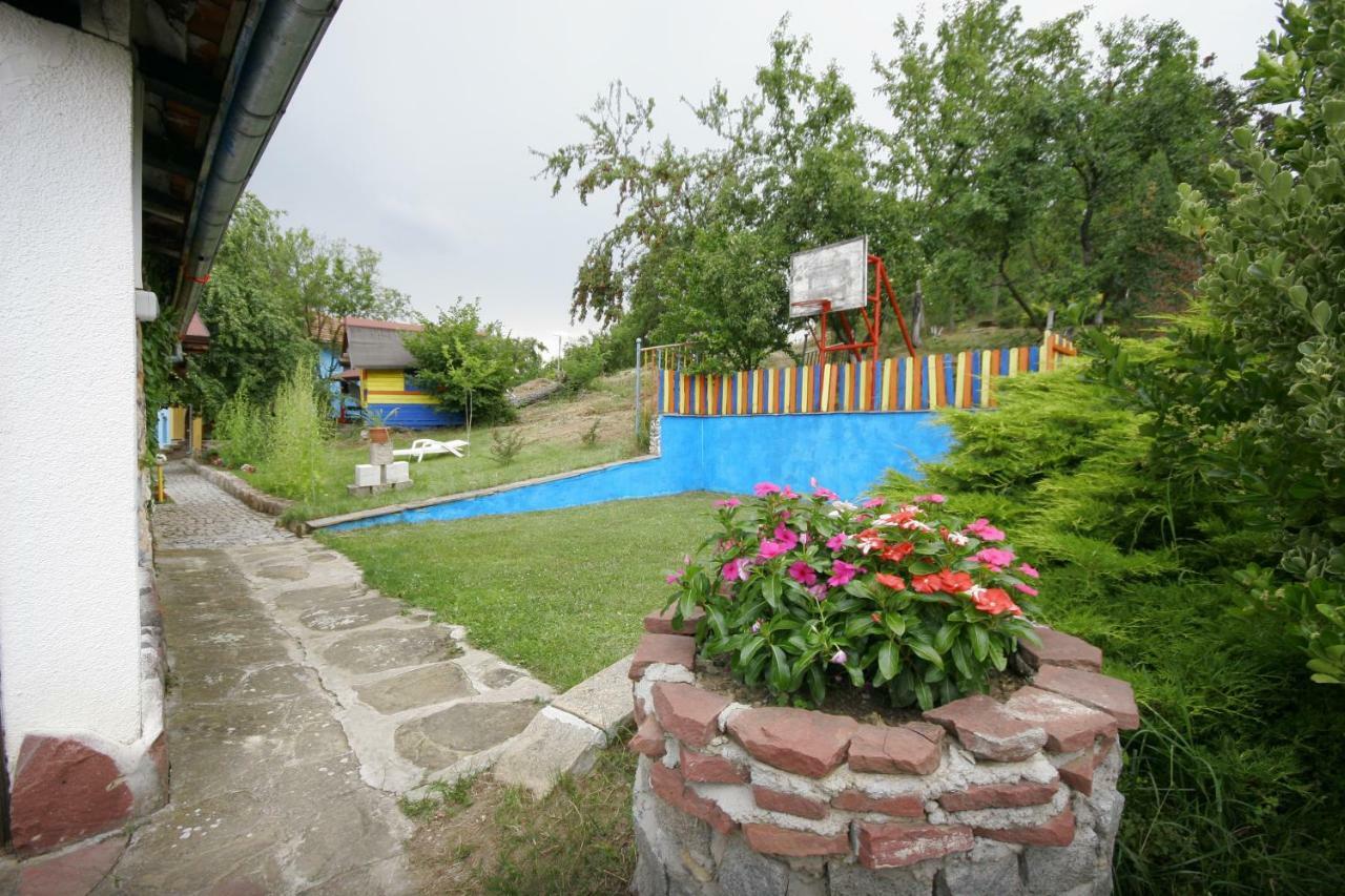 Chuchi Guest House 1 Zlatna Panega Bagian luar foto