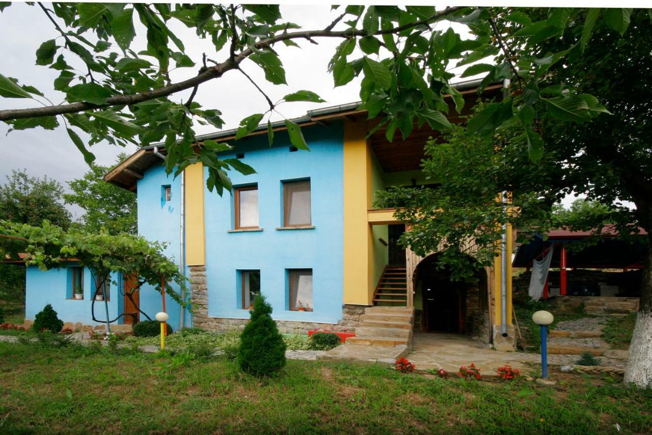 Chuchi Guest House 1 Zlatna Panega Bagian luar foto