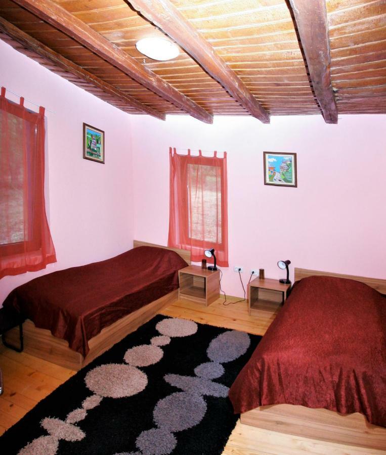 Chuchi Guest House 1 Zlatna Panega Bagian luar foto