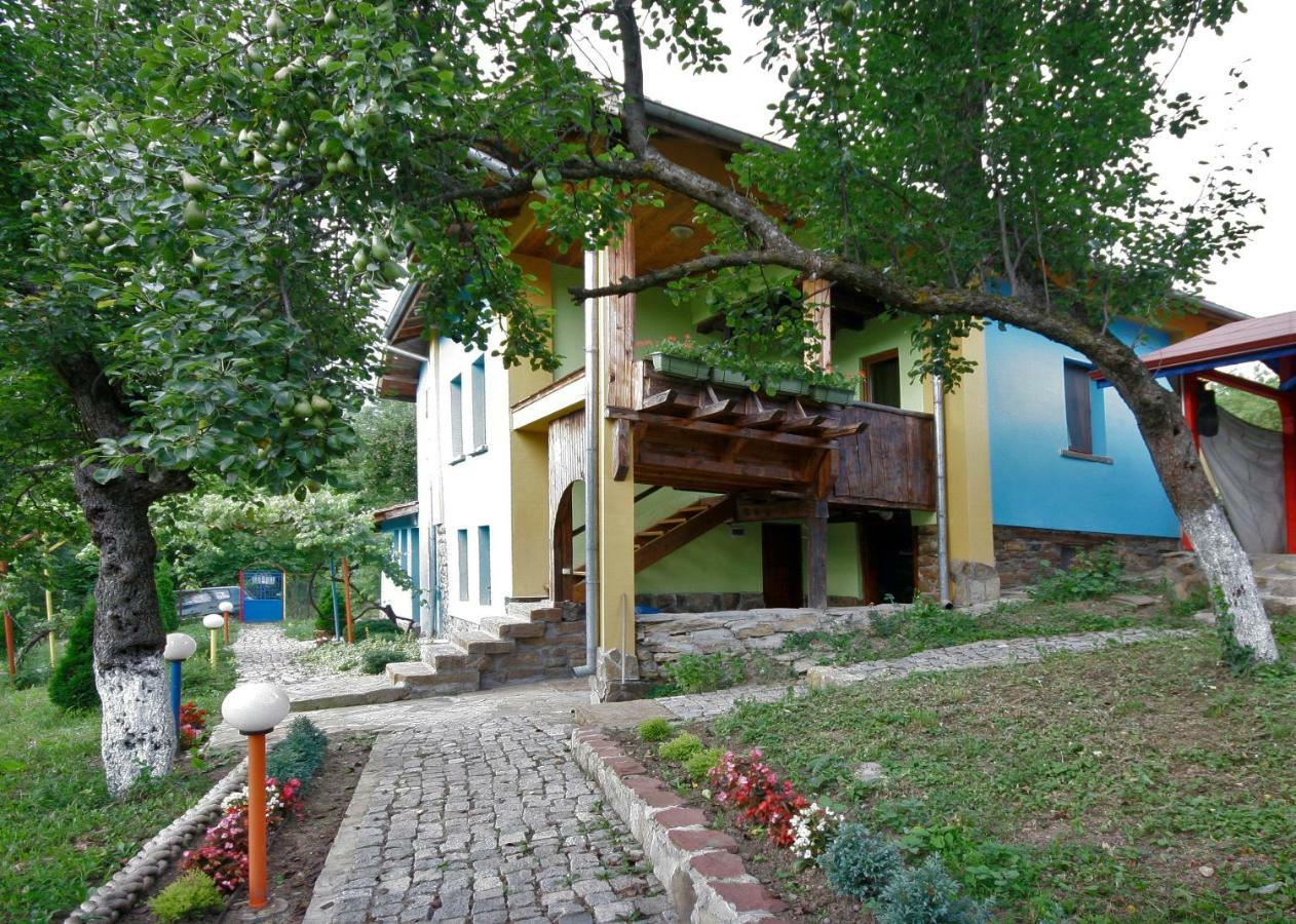 Chuchi Guest House 1 Zlatna Panega Bagian luar foto