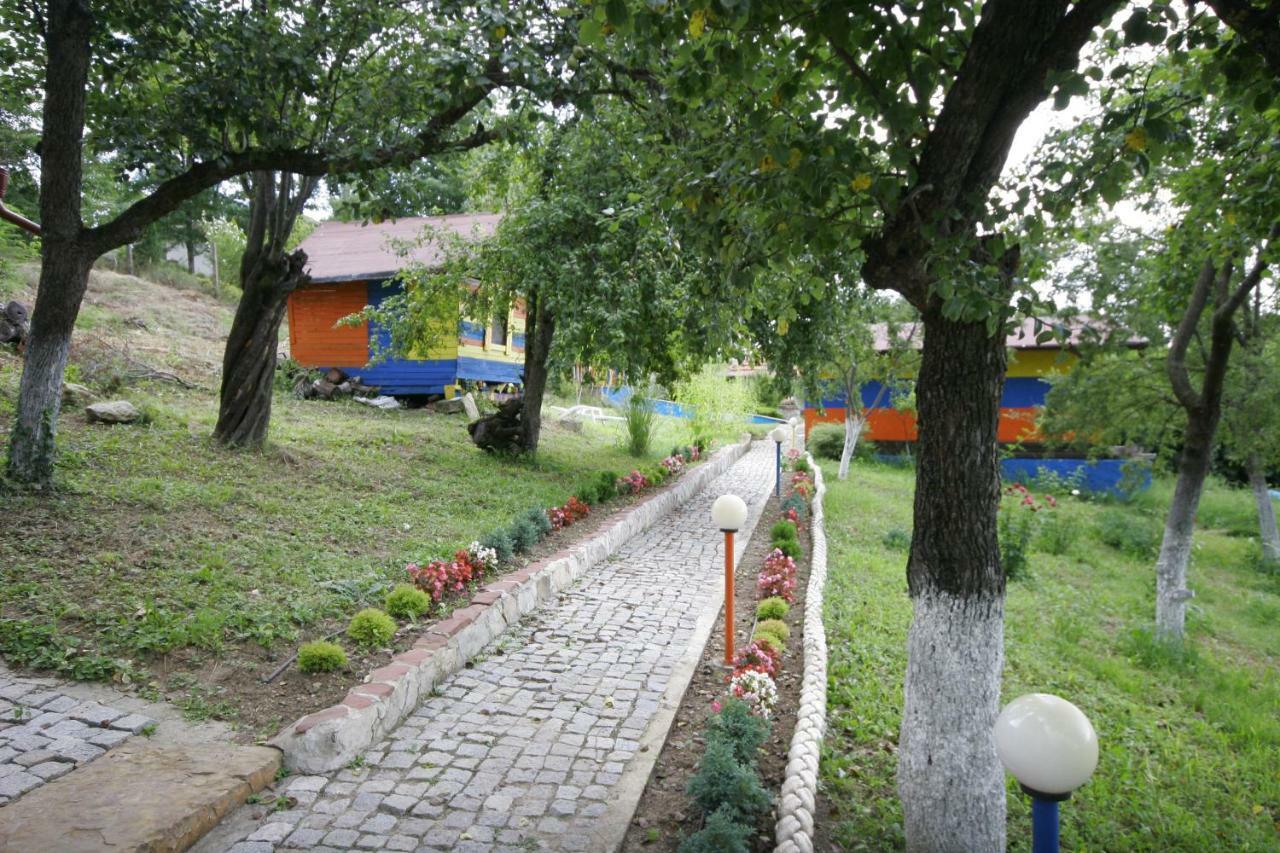 Chuchi Guest House 1 Zlatna Panega Bagian luar foto